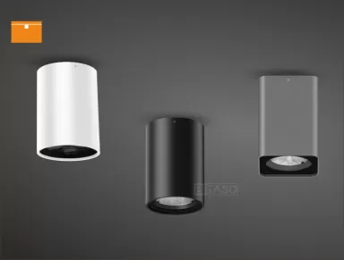 Surface Ceiling Light