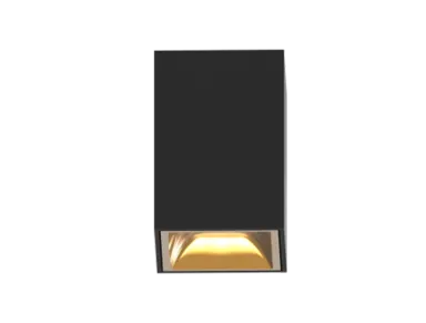 Surface Ceiling Light